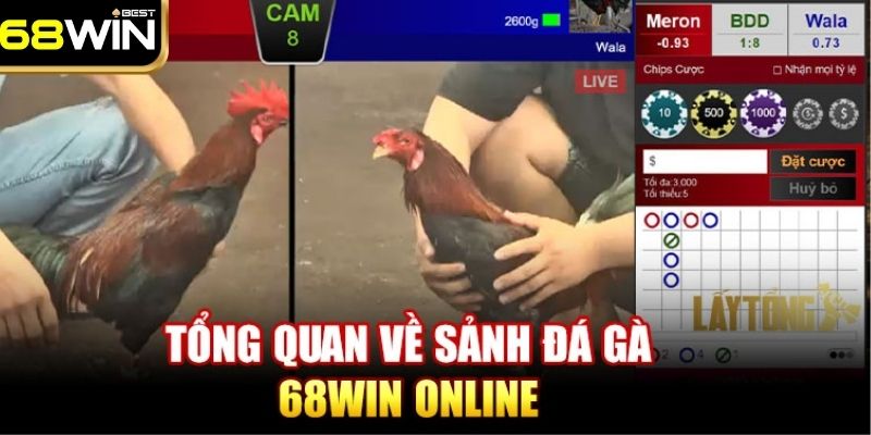 Đá Gà 68WIN - Đấu Trường Chọi Gà Uy Tín, Đẳng Cấp Nhất 2025 1 Sảnh đá gà 68WIN thu hút đông đảo thành viên